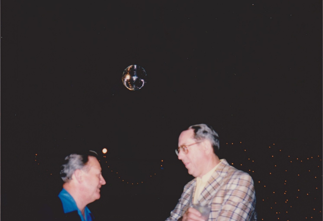 The disco ball hanging from the elm tree